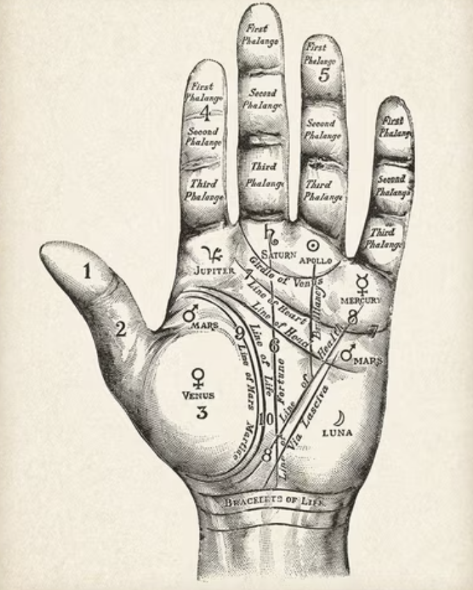 Vintage palmistry illustration showing the lines and features of a hand